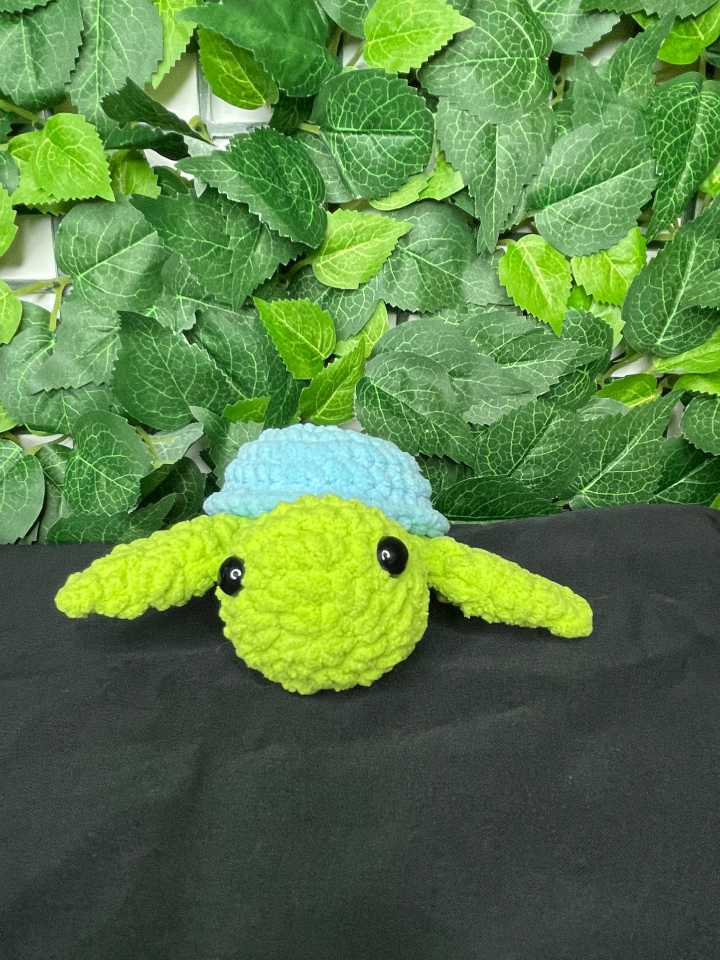 Sea Turtle