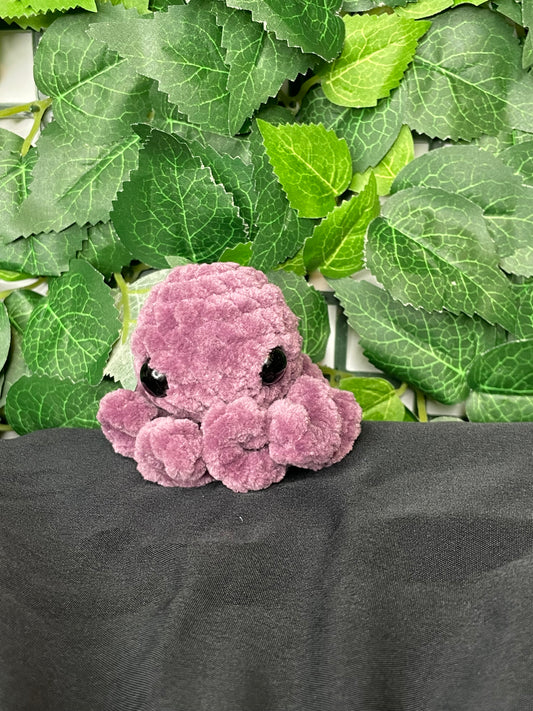 Mini Octopus