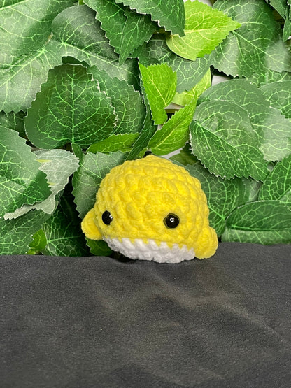 Mini Whale