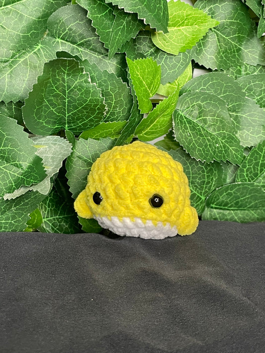 Mini Whale