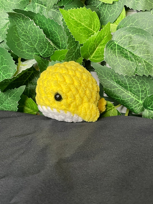 Mini Whale